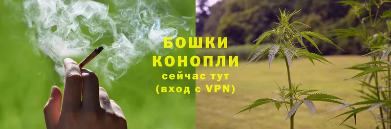 Бошки марихуана THC 21%  площадка клад  Баксан 